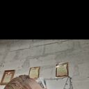 ���������� ������, ���� ������� Art, 31 ���, ������������ ��� ������, ����� � ���������, c�������� ���������