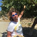 ���������� ������������, ���� ������� �������, 46 ���, ������������ ��� ������, ����� � ���������