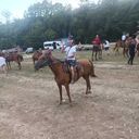 ���������� �������, ���� ������� ����, 51 ���, ������������ ��� ����� � ���������, c�������� ���������