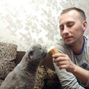 ���������� ������, ���� ������� ������, 36 ���, ������������ ��� ������, ����� � ���������