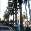 ���������� ������, ���� ������� ����, 46 ���, ������������ ��� ������, ����� � ���������, c�������� ���������