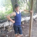  ,   , 34 ,   