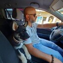 ���������� �������, ���� ������� ���, 44 ����, ������������ ��� ������, ����� � ���������, c�������� ���������