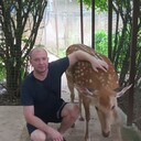 ���������� �������, ���� ������� �������, 44 ����, ������������ 