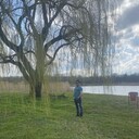 ���������� ������, ���� ������� ����, 32 ����, ������������ ��� ������, ����� � ���������, c�������� ���������, ���������