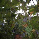  --,   , 62 ,   ,   , c 