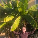 ���������� ������, ���� ������� �����, 54 ����, ������������ ��� ������