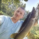 ���������� �����, ���� ������� ����, 38 ���, ������������ ��� ������, ����� � ���������, c�������� ���������