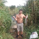 ���������� ������ ���, ���� ������� �������, 36 ���, ������������ ��� ������, ����� � ���������, c�������� ���������