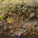 ���������� ���������, ���� ������� �������, 43 ����, ������������ ��� ������, ����� � ���������, c�������� ���������