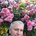  ,   , 50 ,   ,   
