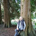  ,   , 54 ,   c 