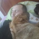  ,   , 37 ,     , c 
