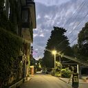 ���������� �����-���������, ���� ����� ����, 25 ���, ������������ ��� ������, ����� � ���������