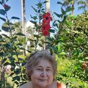 ���������� ������, ���� ������� ������, 62 ����, ������������ ��� ������, ����� � ���������, c�������� ���������