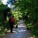 ���������� ������������, ���� ����� ���������, 25 ���, ������������ ��� ������, ����� � ���������, c�������� ���������, ���������