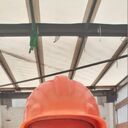 ���������� �����-���������, ���� ������� ������, 44 ����, ������������ ��� ������, ����� � ���������