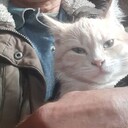 ���������� ������, ���� ������� ���, 64 ����, ������������ ��� ������, ����� � ���������