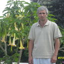 ���������� �����, ���� ������� Del75, 48 ���, ������������ ��� ������