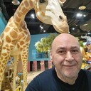 ���������� Galax, ���� ������� ������, 60 ���, ������������ ��� ������, ����� � ���������