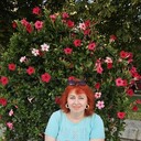  ,   , 48 ,     , c 