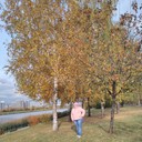 ���������� ������, ���� ������� ������, 51 ���, ������������ ��� ������, ����� � ���������, c�������� ���������