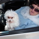 ���������� �����, ���� ������� �������, 77 ���, ������������ 