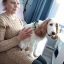 ���������� ��������, ���� ������� ������, 56 ���, ������������ ��� ������, ����� � ���������