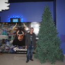 ���������� ���������, ���� ������� ������, 39 ���, ������������ ��� ������, ����� � ���������, c�������� ���������