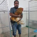  ,   Ned, 49 ,     , c 