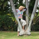 ���������� Edmonton, ���� ������� ������, 76 ���, ������������ ��� ������, ����� � ���������, c�������� ���������