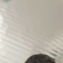 ���������� ������, ���� ������� �����, 42 ����, ������������ ��� ������, ����� � ���������