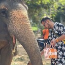  Phuket,   , 34 ,   ,   