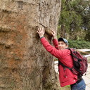 ���������� �����������, ���� ������� �������, 43 ����, ������������ ��� ������, ����� � ���������, c�������� ���������