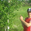 ���������� �����������, ���� ������� �����, 37 ���, ������������ ��� ������, ����� � ���������, c�������� ���������