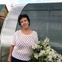 ,   , 61 ,     , c , 
