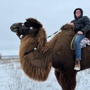 ���������� ������, ���� ������� ����, 48 ���, ������������ ��� ������, ����� � ���������, ���������