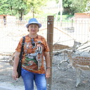  ,   , 59 ,   ,   , c 