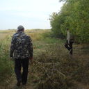 ���������� ������, ���� ������� Azza, 41 ���, ������������ ��� ������