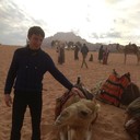 ���������� ������, ���� ������� �����, 36 ���, ������������ ��� ����� � ���������, c�������� ���������