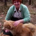 ���������� ����������, ���� ������� ����, 62 ����, ������������ ��� ������, ����� � ���������, c�������� ���������