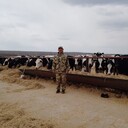 ���������� ���������, ���� ������� ������, 45 ���, ������������ ��� ������, ����� � ���������, c�������� ���������