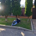  ,   , 51 ,   ,   