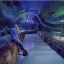  ,   , 27 ,   ,   , c , 