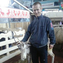 ���������� �����, ���� ������� ������, 46 ���, ������������ ��� ������