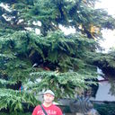 ,   , 53 ,  