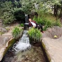  ,   , 50 ,     , 