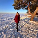 ���������� �����������, ���� ������� ����, 30 ���, ������������ ��� ������, ����� � ���������, c�������� ���������, ���������