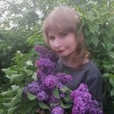 ���������� ���������, ���� ������� �������, 33 ����, ������������ ��� ������, ����� � ���������, c�������� ���������