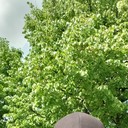  ,   , 48 ,   ,   , c 